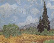 Vincent Van Gogh Wheat Field with Cypresses (nn04) oil painting picture wholesale